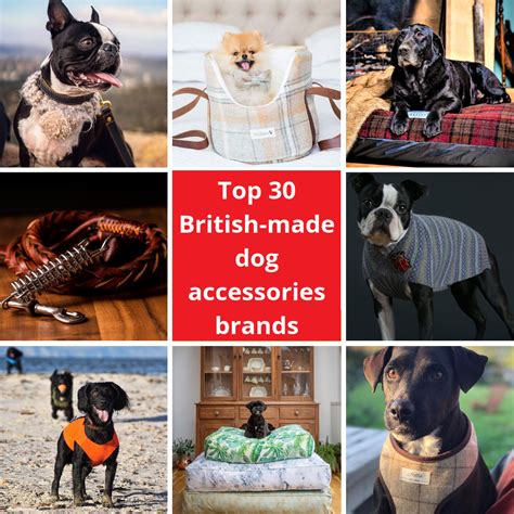 Top 30 British Made Dog Accessories Brands Updated 2019