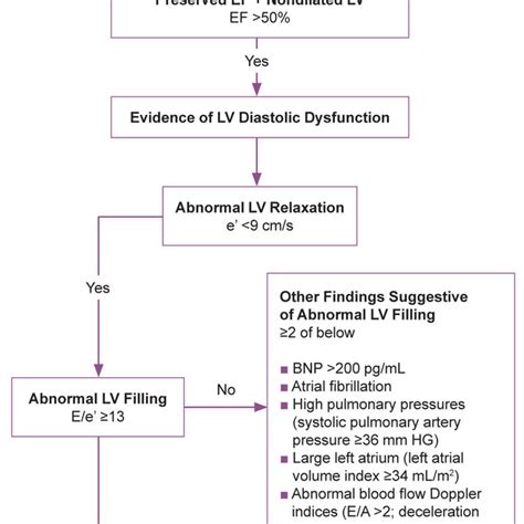 Step By Step Diagnosis Of Heart Failure With Preserved Ejection Download Scientific Diagram