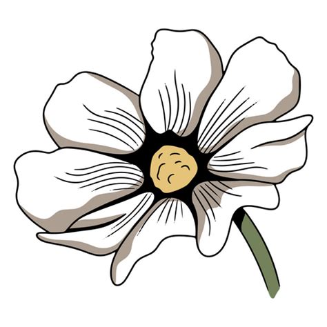 Diseño Png Y Svg De Bella Y Elegante Flor Blanca Para Camisetas