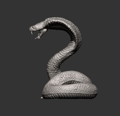 Cobra Snake 3D Model 3D Printable CGTrader