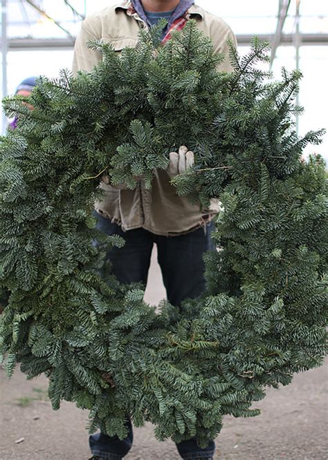 Noble Fir Wreath 50", XL | The Flower Alley