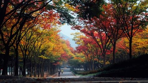 The Best Attractions in Incheon | Korea Tours by Aaron | Korea Private ...