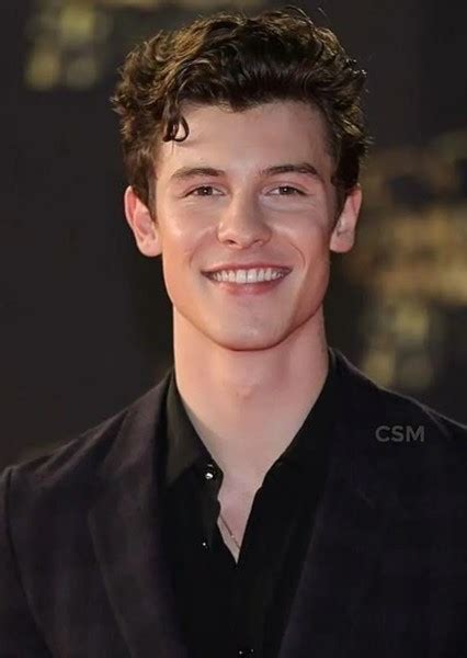 Fan Casting Shawn Mendes As 2022 In Face Claims Sorted By Met Gala Year