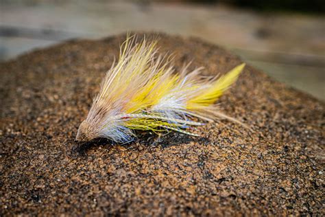 Articulated Streamers Impact Fly Fishing