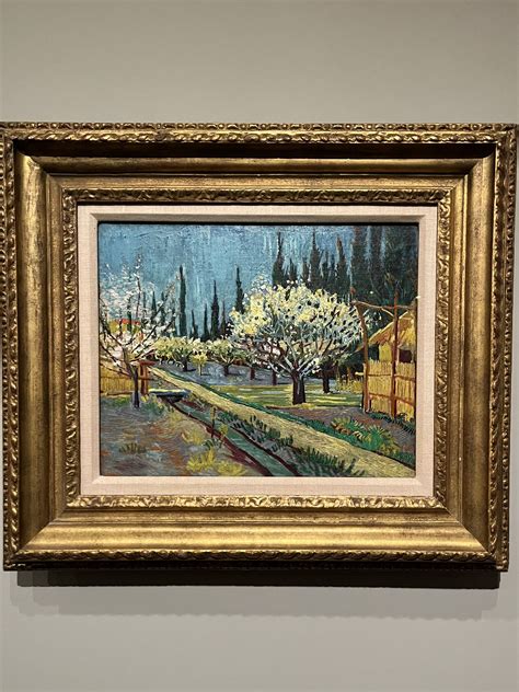 Vintana Van Gogh S Cypresses At The Met