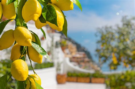 Limone At Lake Garda