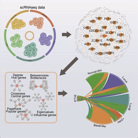 Single Cell Rna Seq Dissects The Intratumoral Heterogeneity Of Triple