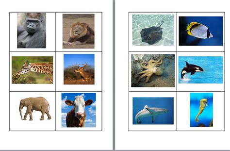 Top 139 + Animals that live on land and sea - Lestwinsonline.com