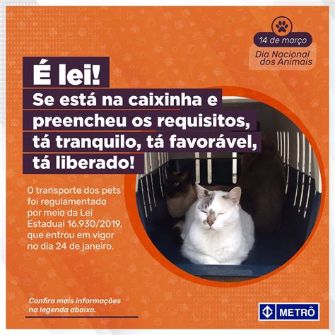 Metr De S O Paulo On Twitter Hoje Dia Dos Animais Saiba Como