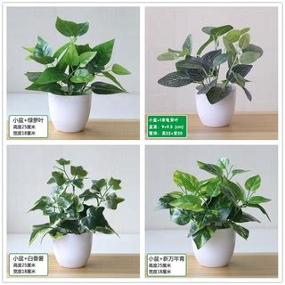 仿真植物 綠植擺件 盆栽裝飾品 客廳盆栽 室內盆景大盆家居裝飾 仿真綠蘿盆栽 綠植裝飾 蝦皮購物