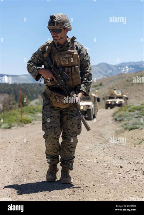 A U S Marine With 1st Battalion 25th Marine Regiment 4th Marine