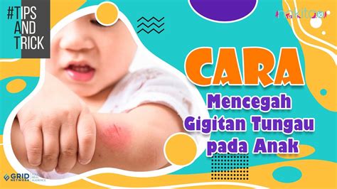 Cara Mencegah Gigitan Tungau Pada Anak YouTube