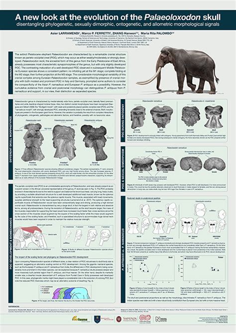 Palaeoloxodon poster | Eofauna