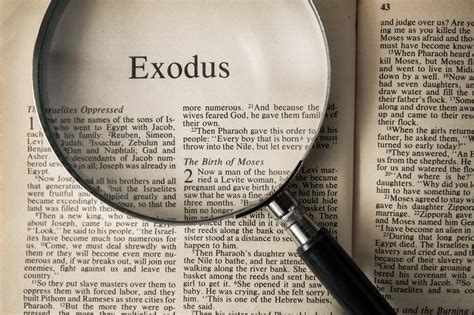 Exodus and Social Justice