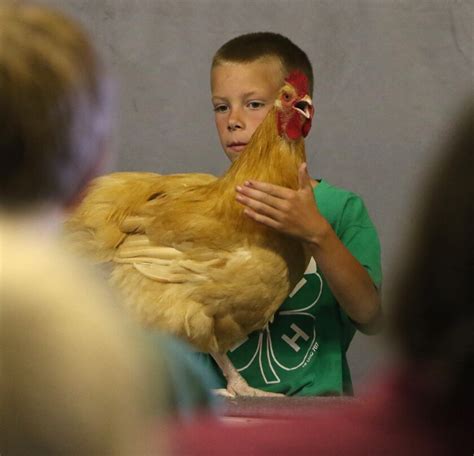 Stutsman County 4 H Results Announced From Contests Held During