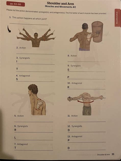 Pp 63 66 Muscles And Movements 2 Pg 35 Diagram Quizlet