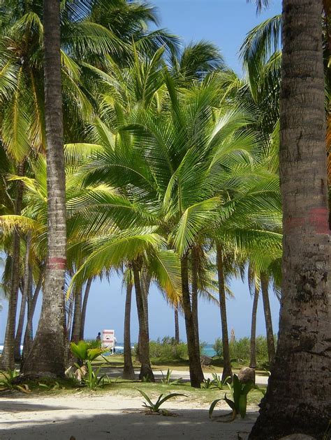 san andrés islands colombia Pikist