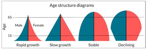 Characteristics Of A Declining Age Structure Diagram Describ