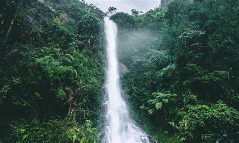 7 Air Terjun Curug Di Purwakarta Yang Paling Indah Hits De Java