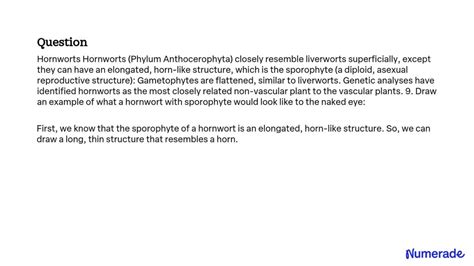 SOLVED: Hornworts Hornworts (Phylum Anthocerophyta) closely resemble liverworts superficially ...