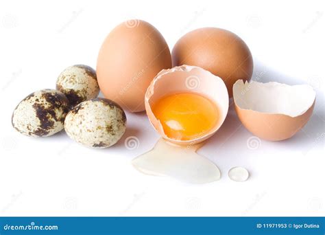 Chicken And Quail Eggs Stock Image Image Of Quail Isolated