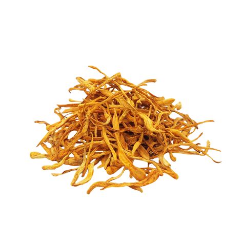 Купити Кордицепс військовий (Cordyceps) сушений, 50грам, КС-50С — ДикоросUA