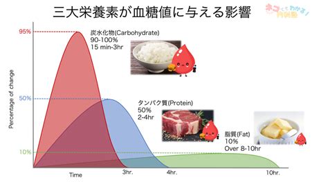 糖尿病教室 ＃1 糖尿病とは〈血糖値，インスリン，糖尿病食〉｜ネコでもわかる内科塾