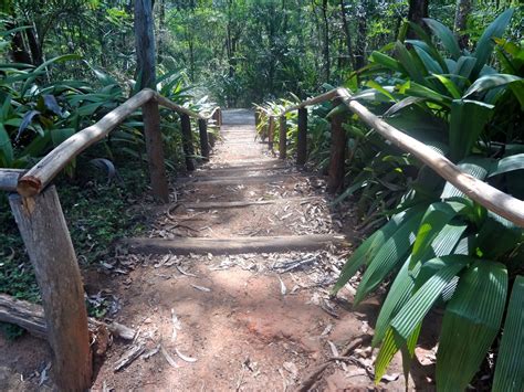 Parque Anhanguera Em S O Paulo Reas Verdes Das Cidades Guia De