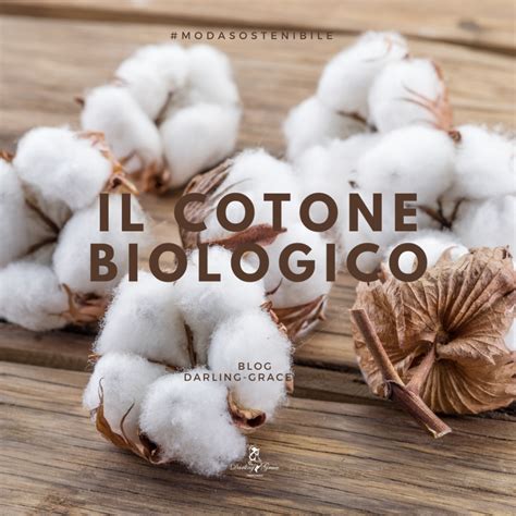 Cosè Il Cotone Biologico Darling Grace