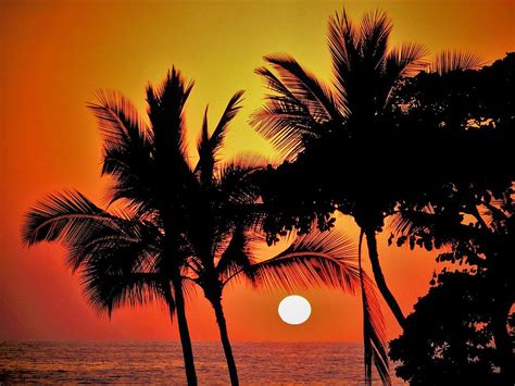 Romantic Kona Hawaii Sunset Photograph by Tom and Geri Gasiorowski - Pixels