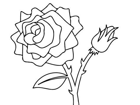 Rose Bud Drawing at GetDrawings | Free download