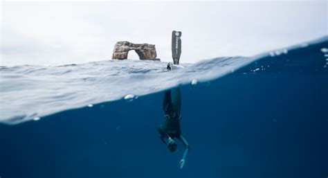 SCUBA Diving Options in the Galapagos Islands: What You Need to Know