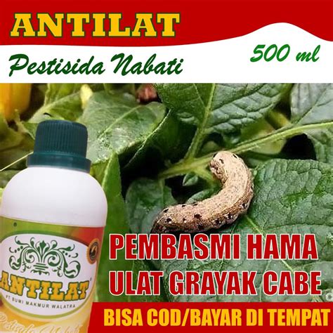 Jual ANTILAT Pestisida Organik Obat Hama Grayak CABE 500 ML