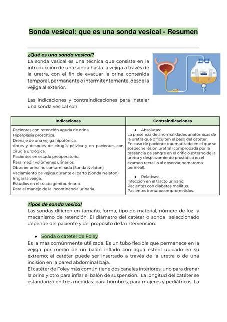 Sonda Vesical Que Es Una Sonda Vesical Resumen UDocz UDocz