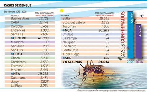 Salud Confirmó Más De 54 Mil Casos De Dengue En 2020