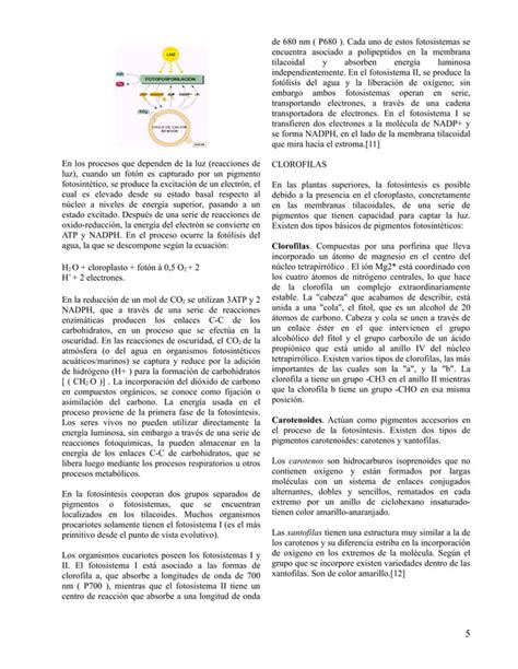 Extraccion Y Separacion De Pigmentos Vegetales PDF