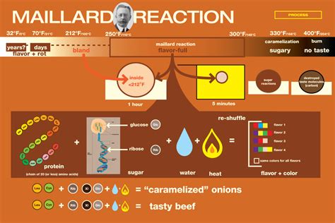 What temperature does the Maillard reaction occur? - Seasoned Advice