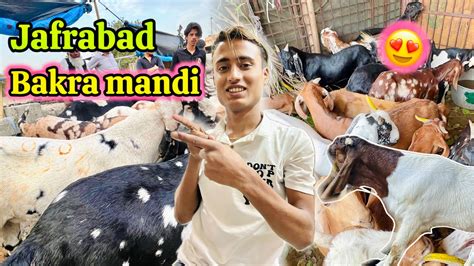 Jafrabad Bakra Mandi Me Qurbani Ke Bakre Dekhne Gya Saste Mil Rhe