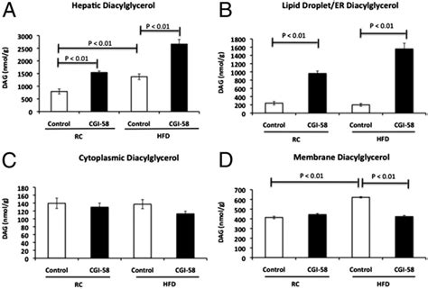 Cgi 58 Aso Treatment Causes Diacylglyerol Accumulation In The Lipid