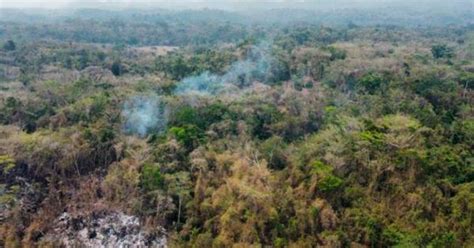 Incendios Forestales Veracruz Autoridades Combaten Fuegos