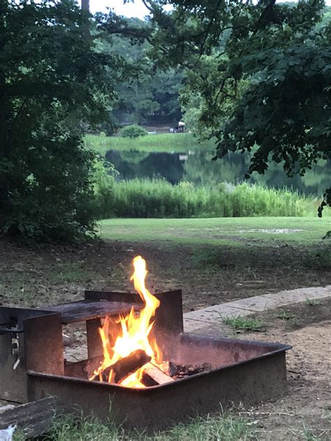 Tyler State Park - one of our favorite parks! : r/TexasStateParks