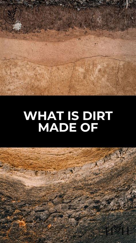 What Is Dirt Made Of 🌍 🧪 Discover The Elements Of The Soil Beneath Our