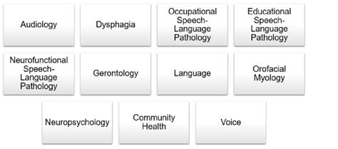 Fields Of Speech Language Pathology Assigned For Selected Papers