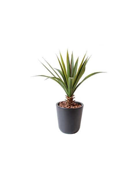 Plante Grasse Aloe Vera Ferox H Artificielle G Ante Vert Anti Uv