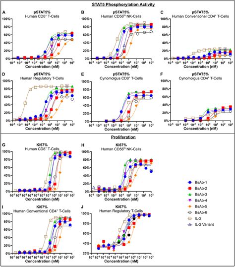 Il 2rβγ Bispecific Uniabs Induce Proliferation And Stat5 Download