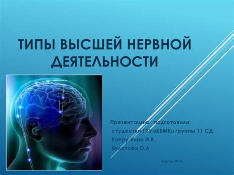 Типы высшей нервной деятельности - презентация онлайн