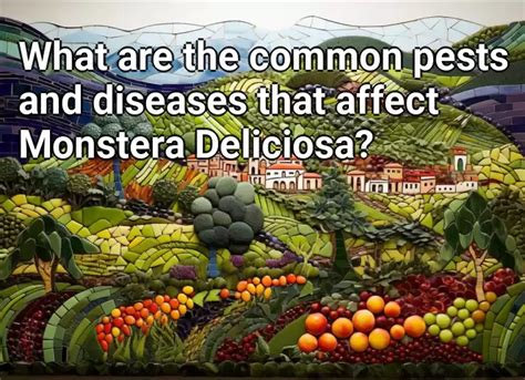 What Are The Common Pests And Diseases That Affect Monstera Deliciosa Agriculture Gov Capital