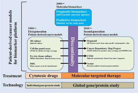 Contrasts Between Past And Present Patient‐derived Cancer Models The