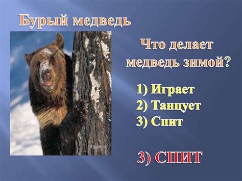 Почемучка - презентация онлайн
