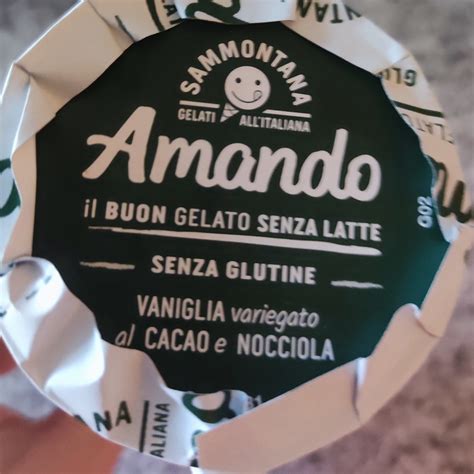 Sammontana Amando Cono Alla Vaniglia Variegato Al Cacao E Nocciola